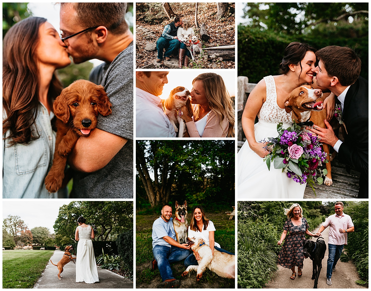 inspiration on bringing your dog to any photo session including your dog